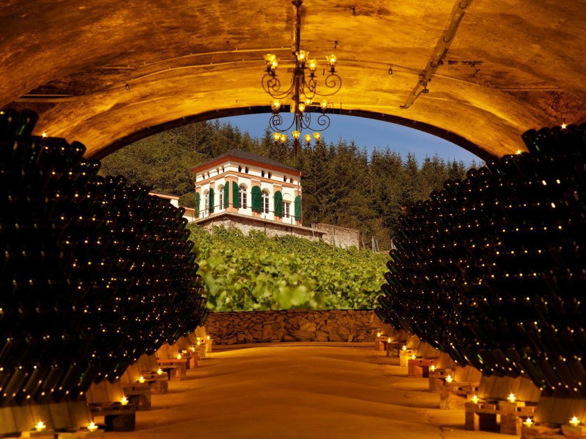 Weinromantikhotel Richtershof Mulheim an der Mosel Dış mekan fotoğraf