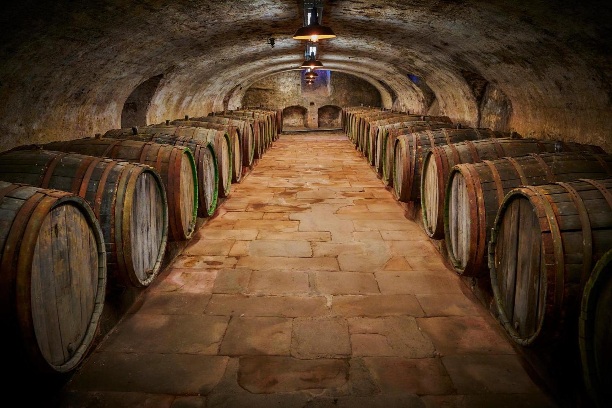 Weinromantikhotel Richtershof Mulheim an der Mosel Dış mekan fotoğraf